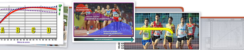 Webinar de Entrenamiento de la Velocidad y su Integración en el Modelo DIPER