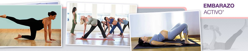 Webinar de Cómo Armar una Clase de Gym Para Embarazadas