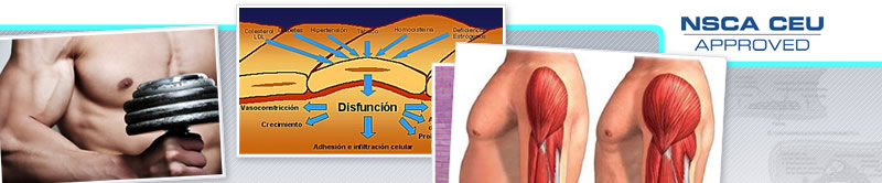 Webinar de Mecanismos de Hipertrofia Muscular Durante el Entrenamiento de Resistencia: ROS, Fuerzas Hemodinánicas y Endotelio