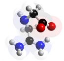 Creatina - bases fisiológicas, efectos y aplicación al entrenamiento deportivo