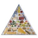 Programa de Elaboración de la Dieta