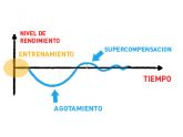 entrenamiento, adaptación y supercompensación