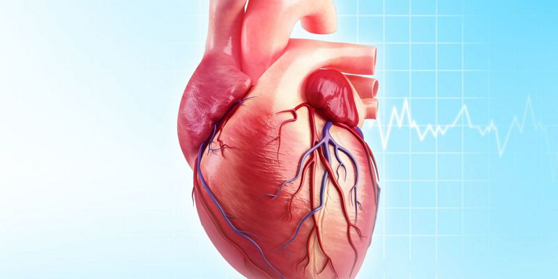 Recomendaciones para la actividad física en pacientes con cardiopatías