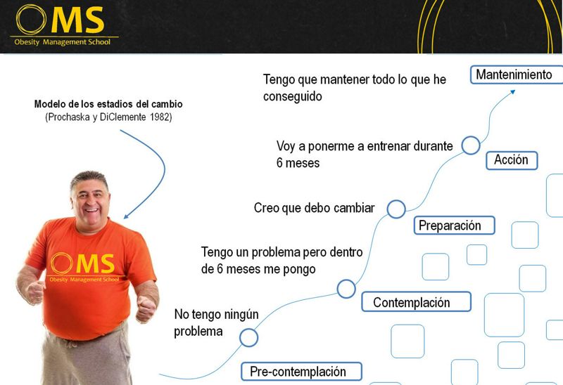 La Entrevista Motivacional En El Tratamiento De La Obesidad Obesity Management School