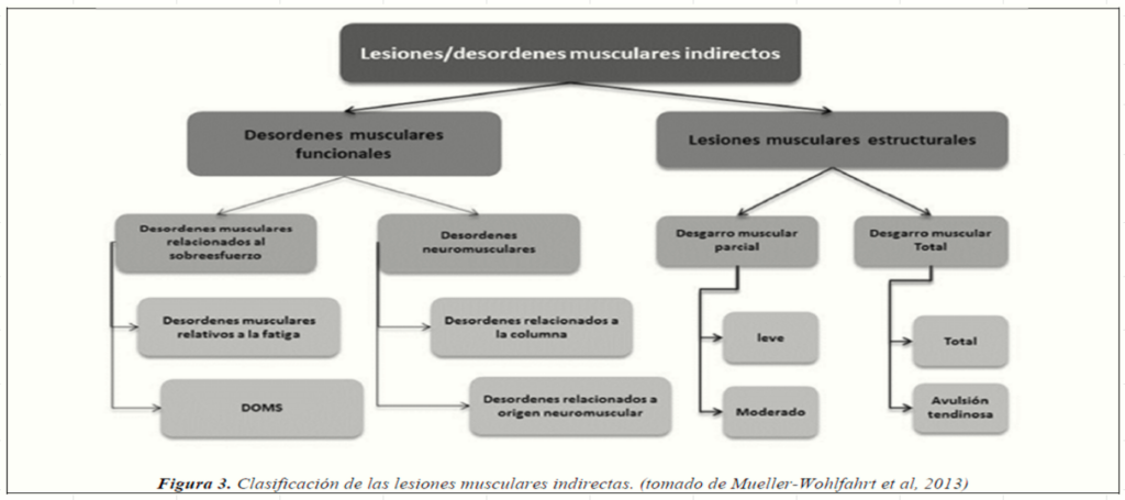 LesionesMusculares